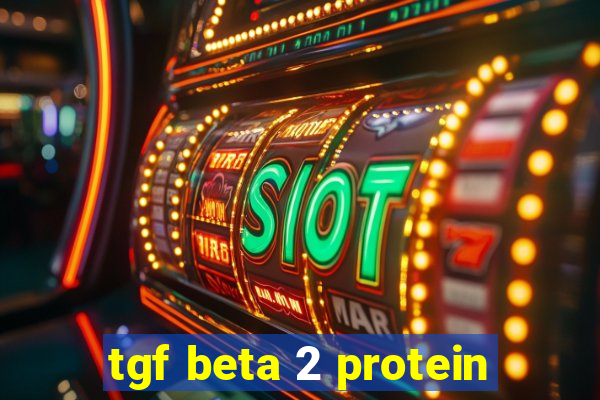 tgf beta 2 protein